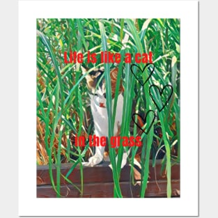 Life is like a cat in the grass Posters and Art